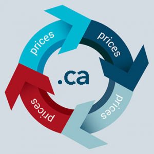 .ca domain price and currency change