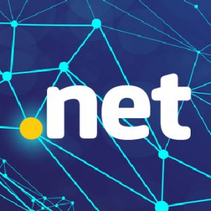 .net domain