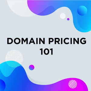 Org Domain Price _ Domain Price Checker – LYZSYR