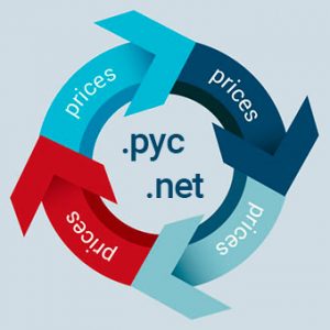 price increase .pyc and .net domains