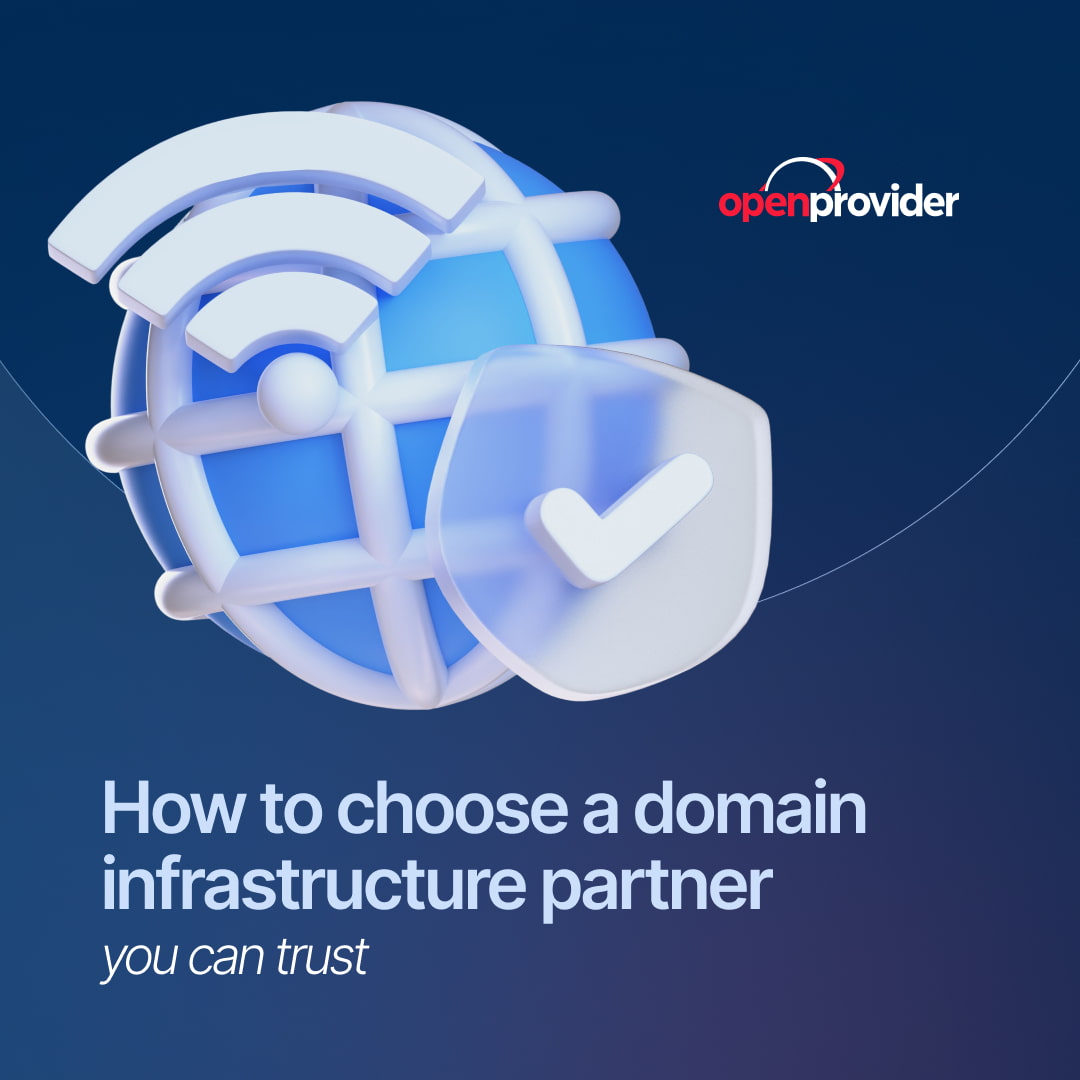 How to choose a domain infrastructure partner you can trust